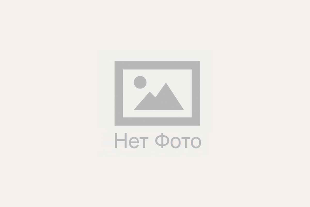 f4-01.06.33.05 впускной клапан 